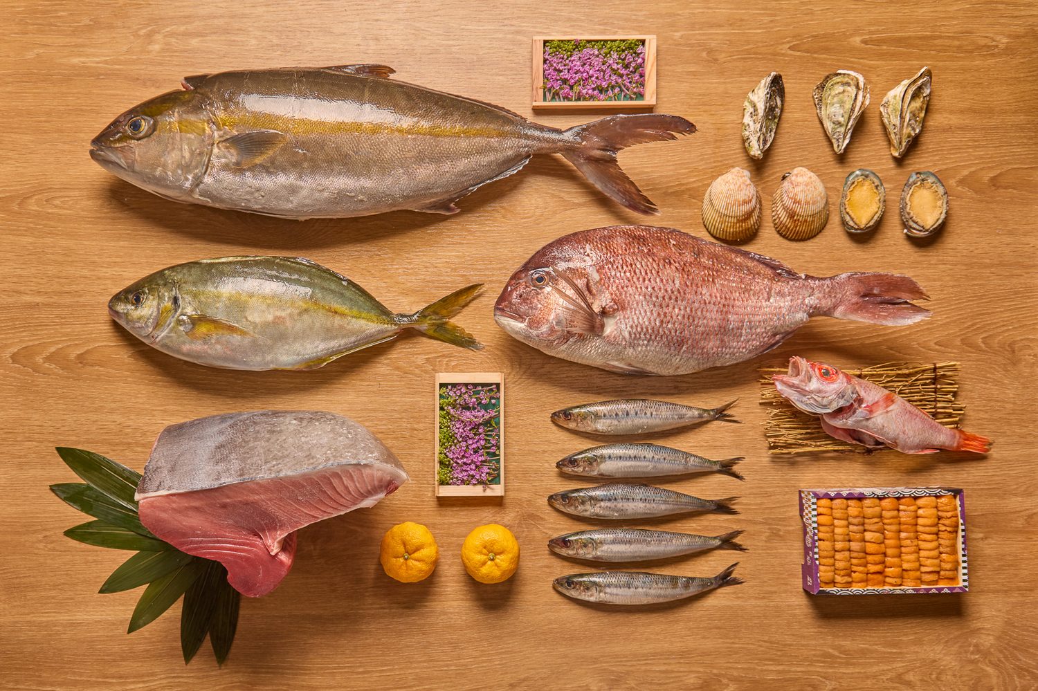 Fresh ingredients of the day